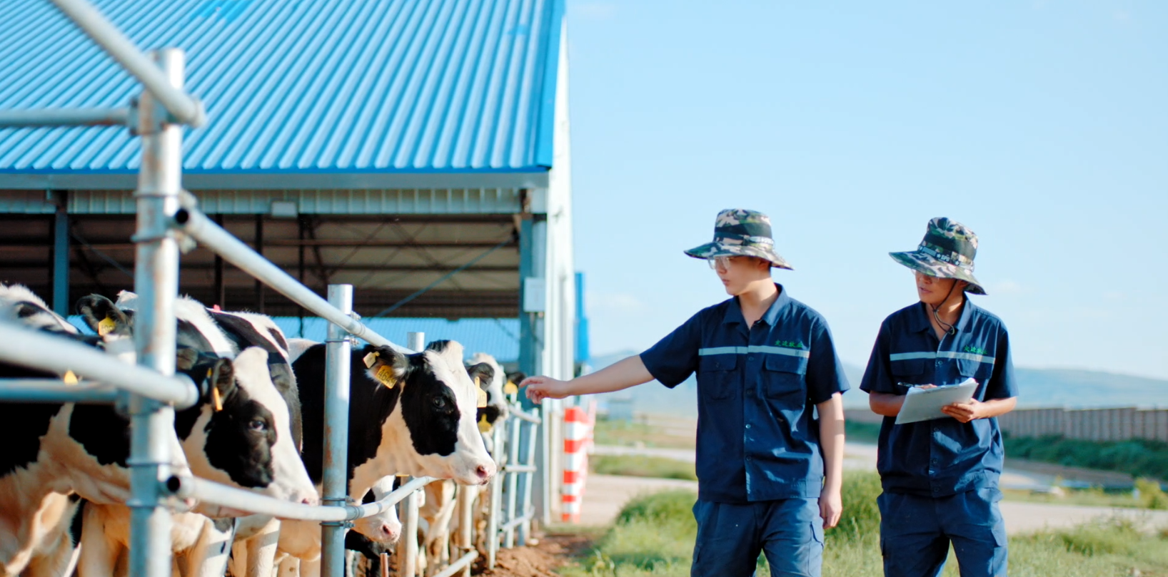 重慶日?qǐng)?bào)：天友鮮奶從牧場(chǎng)到餐桌最快只需12小時(shí)
